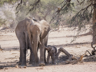 NAMIBIA 2017-10-14 2310-1